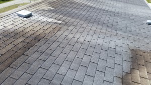 David Potter's Pressure Washing & Soft Wash Cleaning